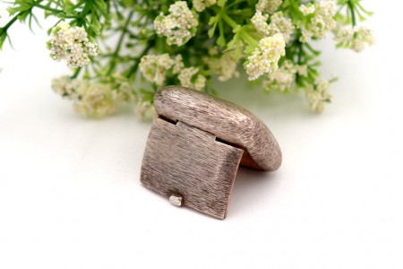 Caixa de comprimidos em prata escovada 